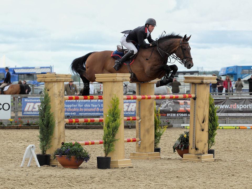 Mark Edwards Showjumping Rider